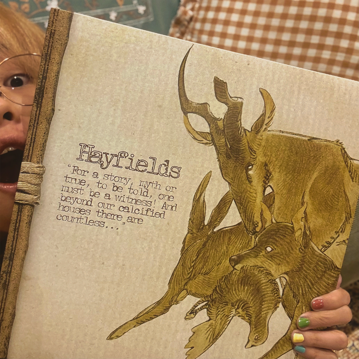 Hayfields Vinyl